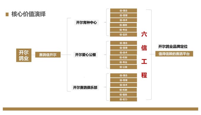 開爾鴿業品牌全案服務