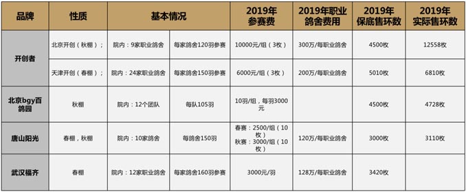 開爾鴿業品牌全案服務