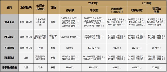 開爾鴿業品牌全案服務