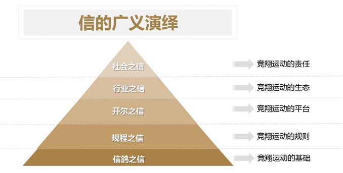 開爾鴿業品牌全案服務